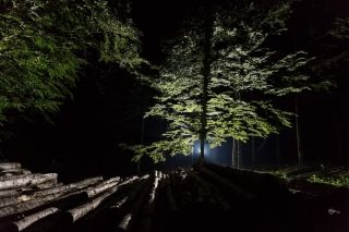 La foresta del cansiglio, illuminata per l'occasione dello shooting Dainese