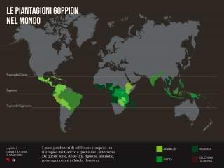 Infografica con le piantagioni di Goppion Caffè nel mondo